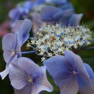 Meet your Posher, Jaymee